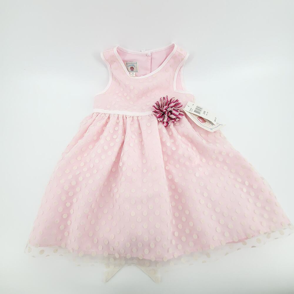 Marmellata Coquette Dainty Empire Waist Flower Pink Sheer Polka Dot Dress 24mo